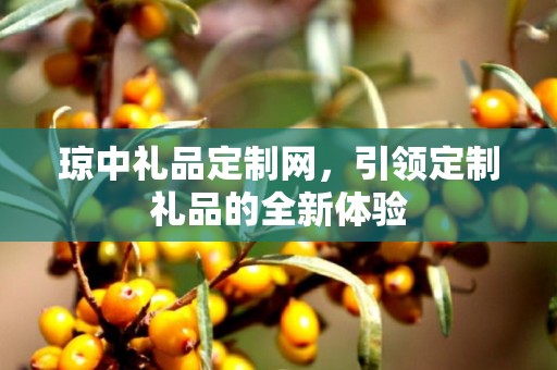 琼中礼品定制网，引领定制礼品的全新体验